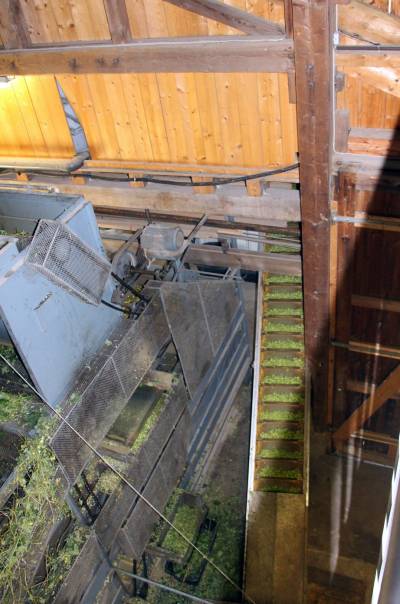 Sortiermaschine fr Hopfendolden (2)